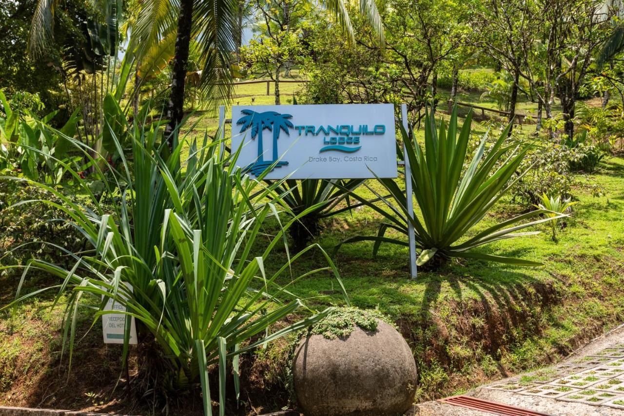 The Tranquilo Lodge, Adult Only, All Meals Included Drakes Bay Eksteriør bilde